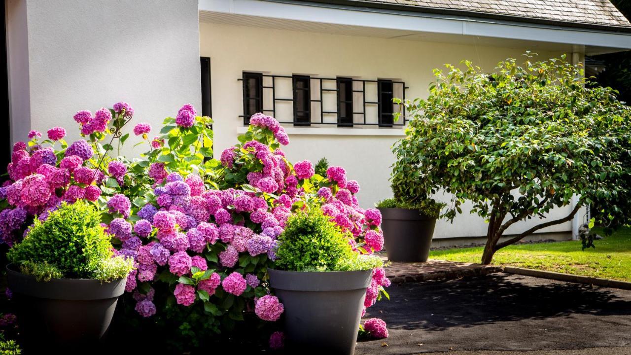 Le Champ Du Renne Bed & Breakfast Le Mans Exterior foto